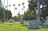 Enlarge photo 47