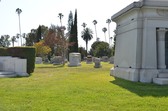 Enlarge photo 52