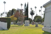 Enlarge photo 53