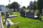 Enlarge photo 54