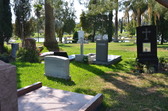 Enlarge photo 55