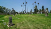 Enlarge photo 30