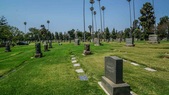 Enlarge photo 33