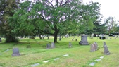 Enlarge photo 35