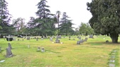 Enlarge photo 36