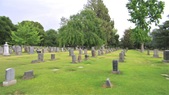 Enlarge photo 45