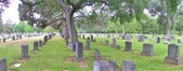 Enlarge photo 50