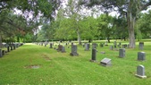 Enlarge photo 51