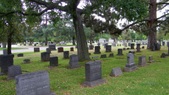 Enlarge photo 52