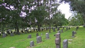Enlarge photo 55