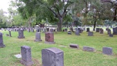 Enlarge photo 58