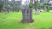 Enlarge photo 62