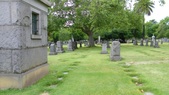 Enlarge photo 67