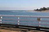 Enlarge photo 40
