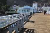 Enlarge photo 49