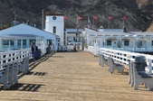 Enlarge photo 53