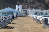 Enlarge photo 55