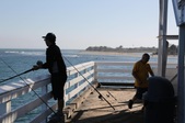 Enlarge photo 72