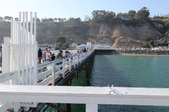 Enlarge photo 74