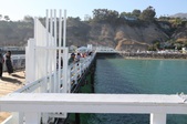 Enlarge photo 75