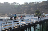 Enlarge photo 77