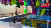 Enlarge photo 35