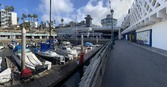 Enlarge photo 83