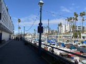 Enlarge photo 82