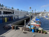 Enlarge photo 67