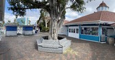 Enlarge photo 20