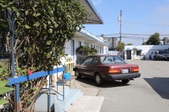 Enlarge photo 65