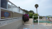 Enlarge photo 27