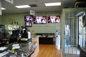 Hollywood Pawn Shop