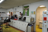 Enlarge photo 31