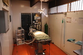 Enlarge photo 35
