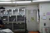 Enlarge photo 40
