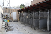 Enlarge photo 41