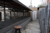 Enlarge photo 42