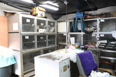 Enlarge photo 48