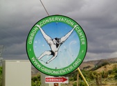 GIBBON CONSERVATION CENTER