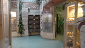 Enlarge photo 29