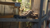 Enlarge photo 31