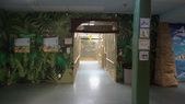 Enlarge photo 36