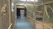 Enlarge photo 39