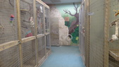 Enlarge photo 41