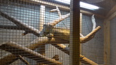 Enlarge photo 43