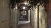Enlarge photo 44