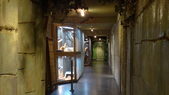 Enlarge photo 45