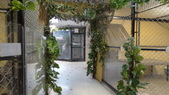 Enlarge photo 48
