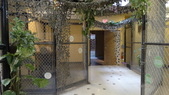 Enlarge photo 52